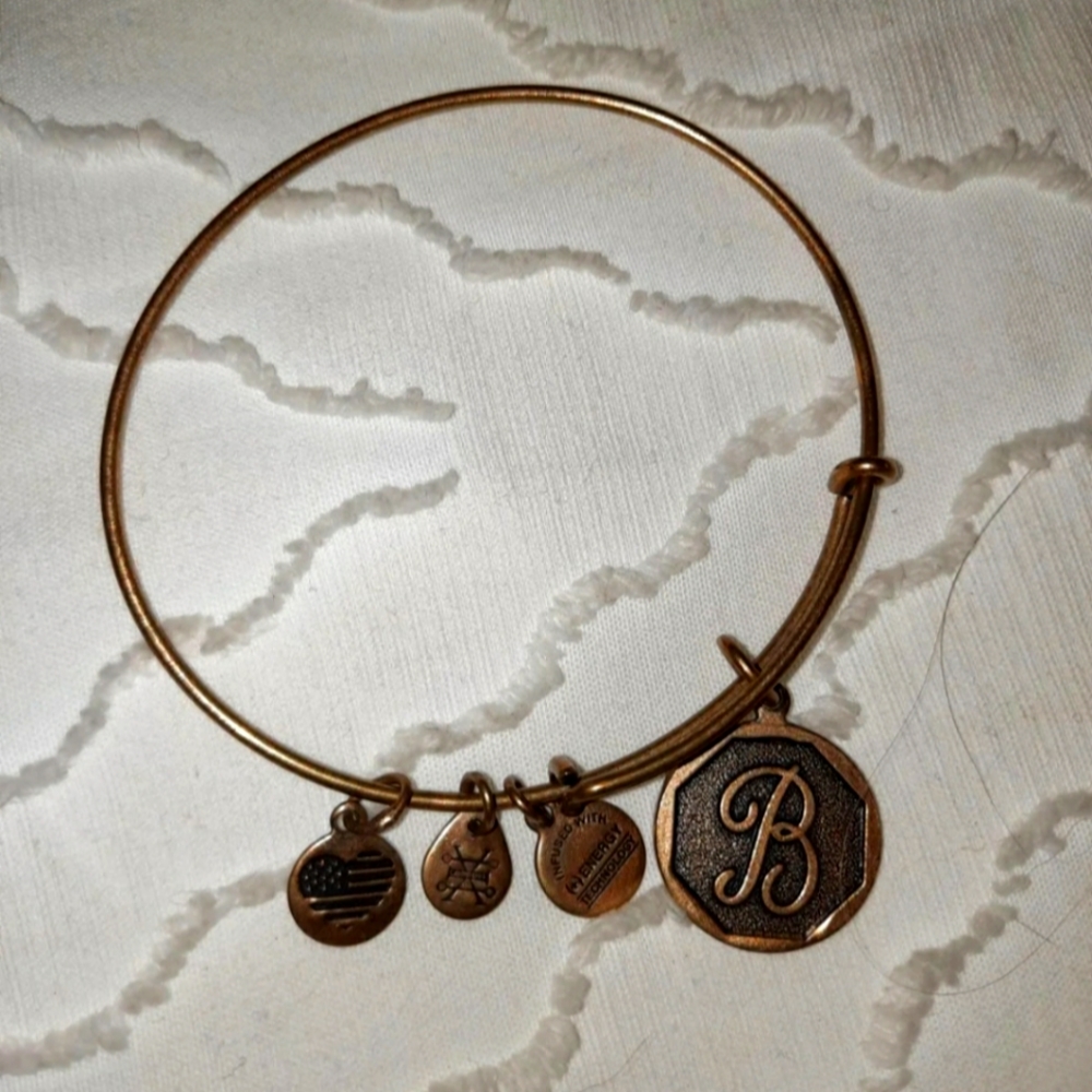 Alex & Ani  charm bracelet